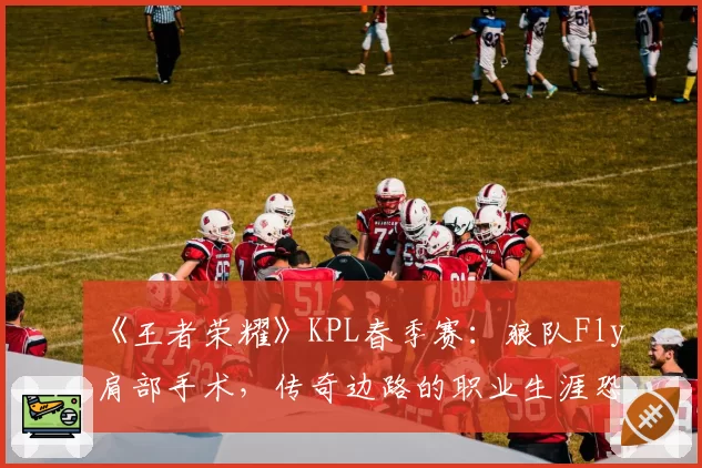 《王者荣耀》KPL春季赛:狼队Fly肩部手术,传奇边路的职业生涯恐提前落幕