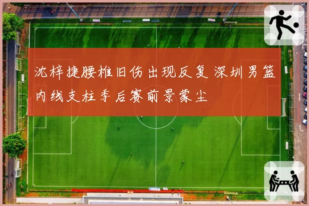 沈梓捷腰椎旧伤出现反复 深圳男篮内线支柱季后赛前景蒙尘