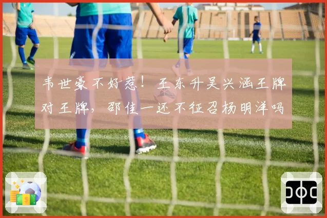 韦世豪不好惹!王东升吴兴涵王牌对王牌,邵佳一还不征召杨明洋吗