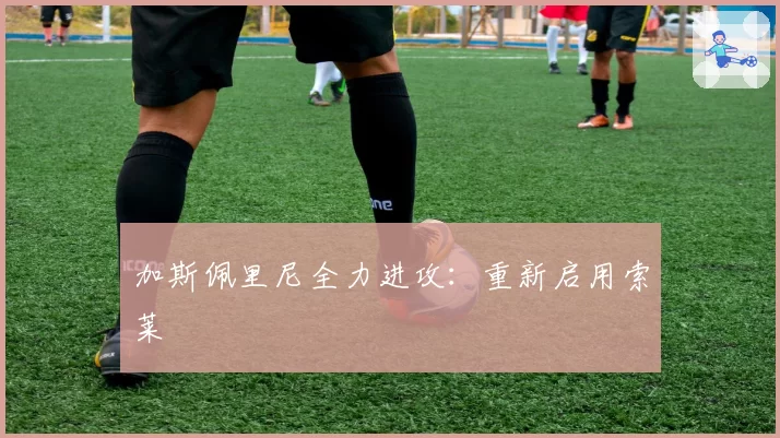 加斯佩里尼全力进攻：重新启用索莱
