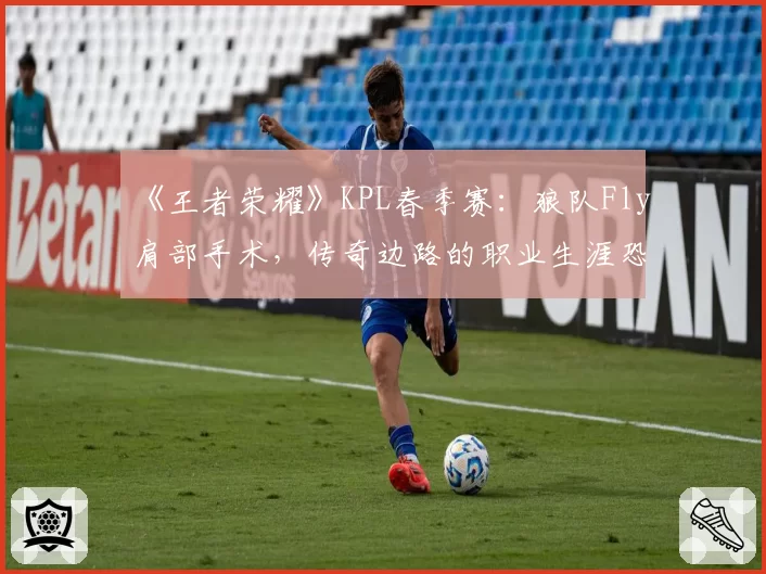 《王者荣耀》KPL春季赛:狼队Fly肩部手术,传奇边路的职业生涯恐提前落幕